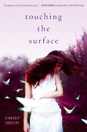 Touching the Surface cover =-blurb