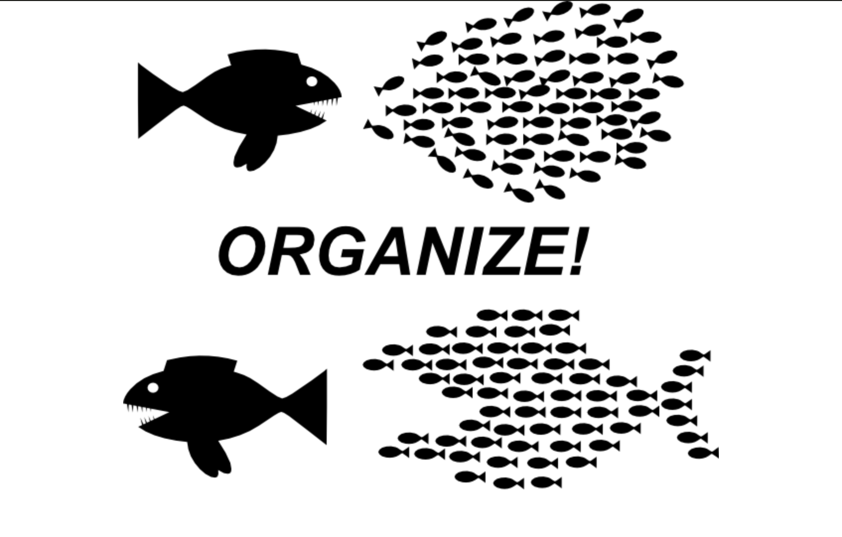 ORGANIZE: My Word for 2019